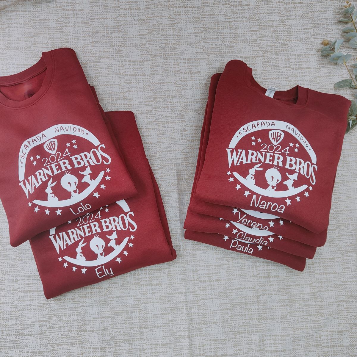 sudadera escapada Warner personalizada