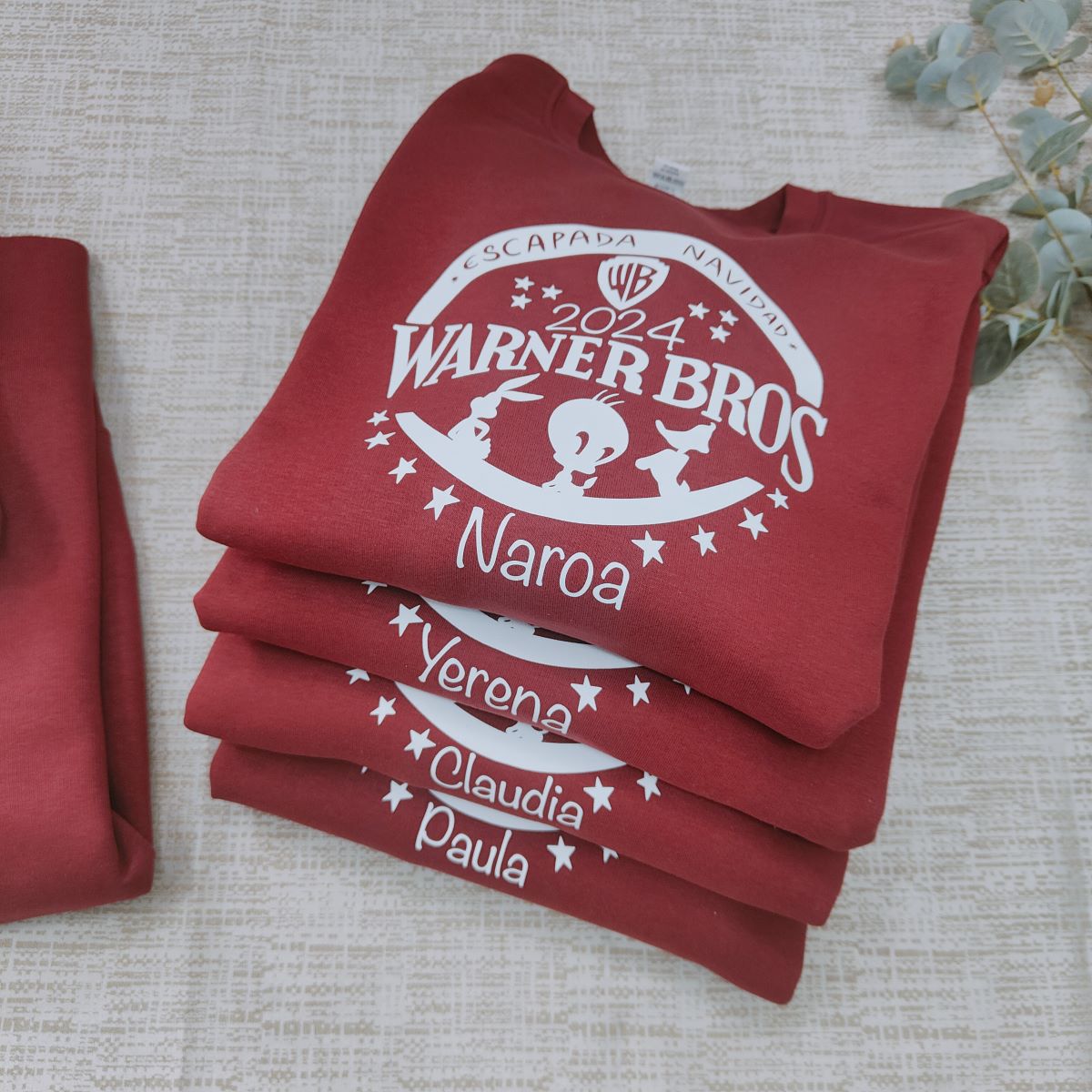 sudadera personalizada warner