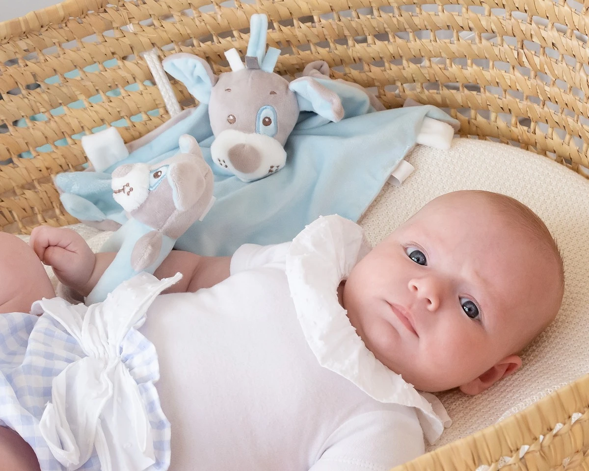 set-azul-doudou-y-sonajero-perrito (1)